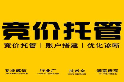 某知名品牌网络推广竞价全解析